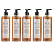 Mydła - Prija, Mydło W Płynie Z Ekstraktem Z Żeń-szenia, Z Pompką, 5x380ml - miniaturka - grafika 1