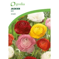Nasiona i cebule - Jaskier mix 10szt. cebulki kwiatów Geolia - miniaturka - grafika 1