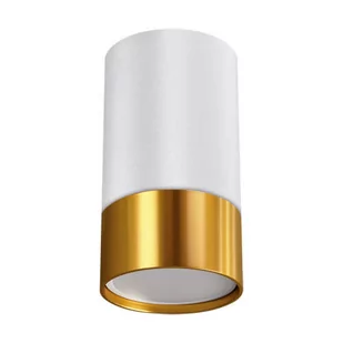 Sufitowa lampa sypialniana Puzon spot tuba biała złota - Lampy sufitowe - miniaturka - grafika 1