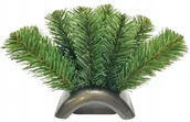 Ozdoby bożonarodzeniowe - Doniczka Zalewana Mały Fokus Podkład Na Stroik Cemenciak Gałązki Zielone - miniaturka - grafika 1