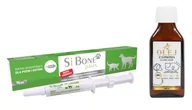 Suplementy i witaminy dla psów - BIOVICO SIBONE PASTA 15 ml + Lab-V Olej z Łososia 100% Dla Psa i Kota w Każdym Wieku 100ml Tłoczony Na Zimno GRATIS !!! - miniaturka - grafika 1