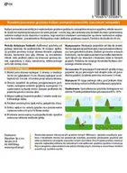 Nasiona i cebule - Grzybnia Koźlarz pomarańczowy 10 g - miniaturka - grafika 1