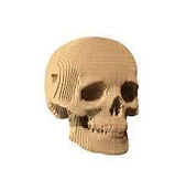 Puzzle - Puzzle 3D kartonowe - Czaszka - Cartonic - miniaturka - grafika 1