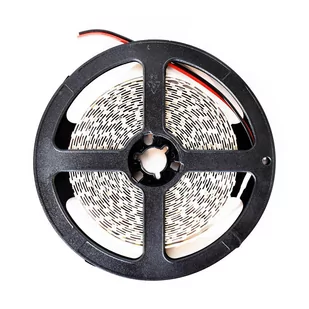 Milagro Milagro Taśma LED Pro 5m 120/1mb 48W/500cm Zimna biała 6000K IP20 ML4753 - Taśmy LED - miniaturka - grafika 1