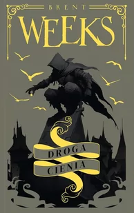 Droga Cienia. Trylogia Anioła Nocy. Tom 1 - E-booki - fantastyka i horror - miniaturka - grafika 1