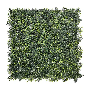 Panel osłonowy Żywopłot Borówka DECOTeam, 50 x 50 cm - Akcesoria do ogrodzeń Panel osłonowy Żywopłot Borówka DECOTeam, 50 x 50 cm - Akcesoria do ogrodzeń - miniaturka - grafika 1