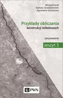 Technika - PRZYKŁADY OBLICZANIA KONSTRUKCJI ŻELBETOWYCH ZESZYT 3 Michał Knauff - miniaturka - grafika 1