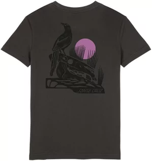 Koszulki i topy damskie - t-shirt damski SANTA CRUZ RAVEN TEE Charcoal - grafika 1