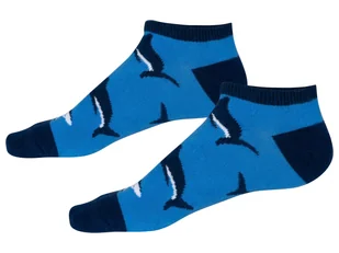 Soxo Skarpetki dziecięce, 2 lub 3 pary (Wieloryby/ deska surfingowa, 27-30) - Skarpetki dla dzieci Soxo Skarpetki dziecięce, 2 lub 3 pary (Wieloryby/ deska surfingowa, 27-30) - Skarpetki dla dzieci - miniaturka - grafika 1