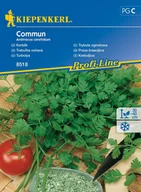 Nasiona i cebule - Trybula Ogrodowa Commun 8518 (St) - miniaturka - grafika 1