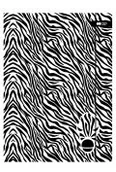 Teczki i skoroszyty - Teczka kartonowa z gumką Black&White Zebra - miniaturka - grafika 1