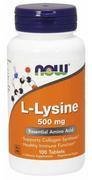 Aminokwasy - L-Lizyna 500 mg (100 tabl.) - miniaturka - grafika 1