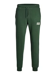 JACK & JONES Jpstgordon Jjnewsoft Sweat Pant Bex Noos męskie spodnie do biegania - Spodenki męskie - miniaturka - grafika 1