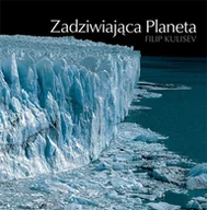Książki o kulturze i sztuce - Zadziwiająca planeta - miniaturka - grafika 1