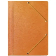 Segregatory - Teczka preszpanowa z gumką A4 pomarańczowa 400087826 BANTEX - miniaturka - grafika 1