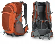 Torby sportowe - PLECAK SPORTOWY BERGSON MOLDE 30L NA SIŁOWNIĘ LEKKI ODDYCHAJĄCY POM. - miniaturka - grafika 1