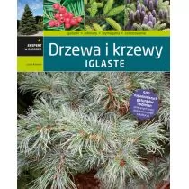 Kurowski Lucjan Drzewa i krzewy iglaste - Dom i ogród - miniaturka - grafika 1