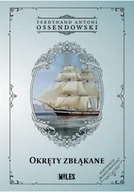 Powieści historyczne i biograficzne - okręty zbłąkane - miniaturka - grafika 1