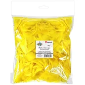 Pozostałe akcesoria dla plastyków - Titanum Piórka puch 16g żółte - miniaturka - grafika 1