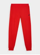 Dresy męskie - SPODNIE DRESOWE MĘSKIE 4F XL JOGGERY DRESY SPORTOWE TTROM0942 AW24 - miniaturka - grafika 1