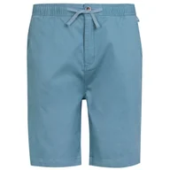 Spodenki męskie - Męskie szorty Regatta Aldan Short Rozmiar: L-XL / Kolor: jasnoniebieski - miniaturka - grafika 1