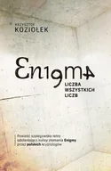 E-booki - kryminał i sensacja - Enigma: liczba wszystkich liczb - miniaturka - grafika 1