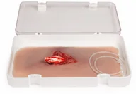 Sprzęt ratunkowy - Erler-zimmer Rana Otwarte złamanie nogi - miniaturka - grafika 1