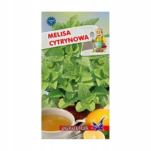Melisa cytrynowa 0,4g / O / - Nasiona i cebule - miniaturka - grafika 1