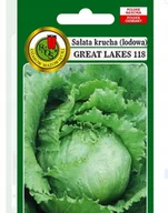 Nasiona i cebule - NASIONA SAŁATA KRUCHA LODOWA GREAT LAKES PNOS - miniaturka - grafika 1