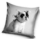 Poszewki na poduszki - Poszewka ozdobna 40x40 Pies - miniaturka - grafika 1
