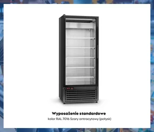 Szafa chłodnicza przeszklona SCh-S 825 ECOline RAPA - Szafy i witryny chłodnicze - miniaturka - grafika 4