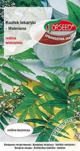 nasiona Kozłek lekarski, Valeriana officinalis 0,2g - Torseed - Nasiona i cebule - miniaturka - grafika 1