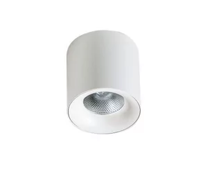 Azzardo MANE AZ4155 downlight natynkowy 1x30W/LED IP20 AZ4155 - Lampy sufitowe - miniaturka - grafika 1