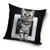 Poszewki na poduszki - CX Poszewka Kotek PD181026 40x40 cm - miniaturka - grafika 1