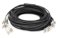 Kable światłowodowe - Digitus Zakończony fabrycznie uniwersalny kabel światłowodowy typu breakout, wielomodowy OM4, 12 włókien, LC/UPC – LC/UPC - miniaturka - grafika 1