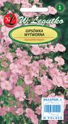 Nasiona i cebule - Legutko sp. z o.o Nasiona Gipsówka wytworna różowa, 1g - miniaturka - grafika 1