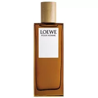 Wody i perfumy męskie - Loewe Pour Homme woda toaletowa 100ml - miniaturka - grafika 1