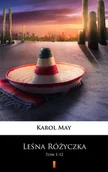 E-booki dla dzieci i młodzieży - Leśna Różyczka. Tom 1-12 - miniaturka - grafika 1
