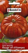Nasiona i cebule - Plantico Dynia Rougede Etamps - miniaturka - grafika 1