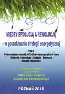 Technika - Między ewolucją a rewolucją - w poszukiwaniu strategii energetycznej Tom 2 - Fundacja na rzecz Czystej Energii - miniaturka - grafika 1