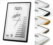 Ramki na zdjęcia - Rama Aluminiowa Alu G 40x55 - miniaturka - grafika 1