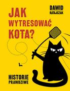 Książki o kulturze i sztuce - Jak wytresować kota Historie prawdziwe Dawid Ratajczak - miniaturka - grafika 1