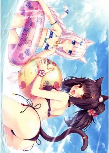 Plakat Anime Manga Nekopara np_057 A2 (custom)