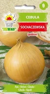 Nasiona i cebule - Cebula SOCHACZEWSKA (późna) Allium cepa L. - miniaturka - grafika 1