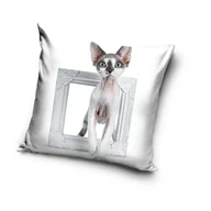 Poszewki na poduszki - Poszewka Na Poduszkę 40X40 - Kot Cat 4 - miniaturka - grafika 1