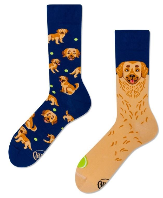 MM Skarpety GOLDEN BOY-43-46