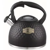 Czajniki na gaz - KLAUSBERG KB-7643 CZAJNIK STALOWY Z GWIZDKIEM 3L  - miniaturka - grafika 1