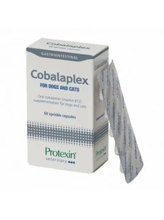 PROTEXIN Cobalaplex 60 kapsułek probiotyk dla psa i kota - Suplementy i witaminy dla kotów - miniaturka - grafika 1