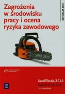 Podręczniki dla liceum - WSiP Zagrożenia w środowisku pracy i ocena ryzyka zawodowego Podręcznik do nauki zawodu Kwalifikacja Z.13.3 - Wanda Bukała, Cieszkowski Tadeusz - miniaturka - grafika 1