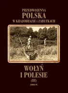 Książki regionalne - Wołyń i Polesie. Przedwojenna Polska w krajobrazie i zabytkach - miniaturka - grafika 1